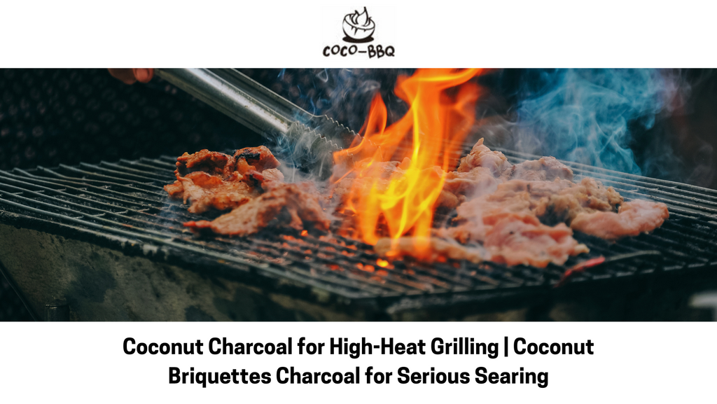 Coconut Charcoal for High-Heat Grilling | Coconut Briquettes Charcoal for Serious Searing
